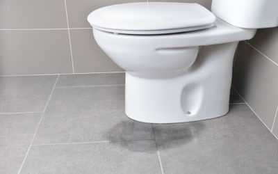 Why Is My Toilet Leaking at the Base? 6 Common Causes